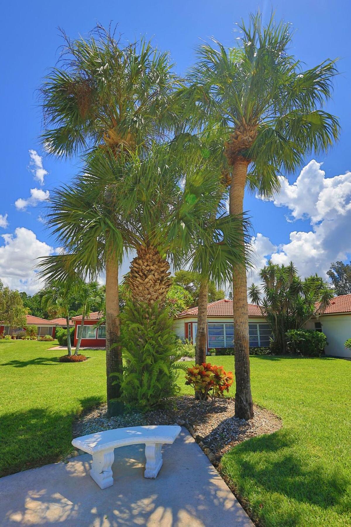 Updated Condo With Pool, Walk To Crescent Beach & Restaurants! Sarasota Exteriör bild